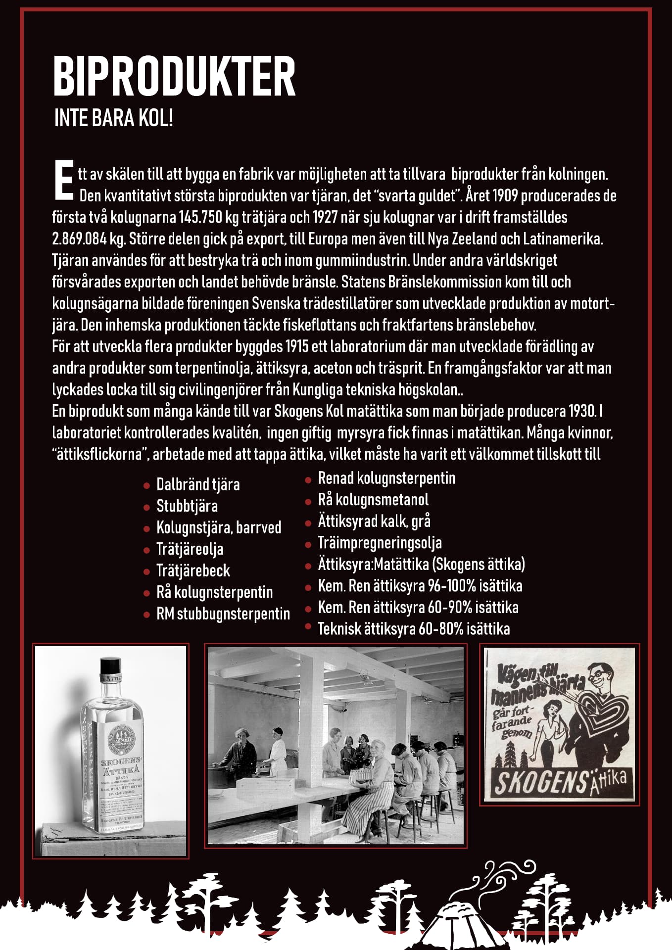 06. Biprodukter – inte bara kol!